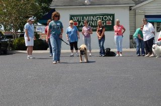 480_wilmington_07_PICTURE_020